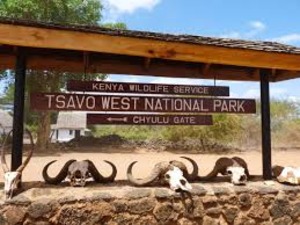 Amazing Tsavo West National Park